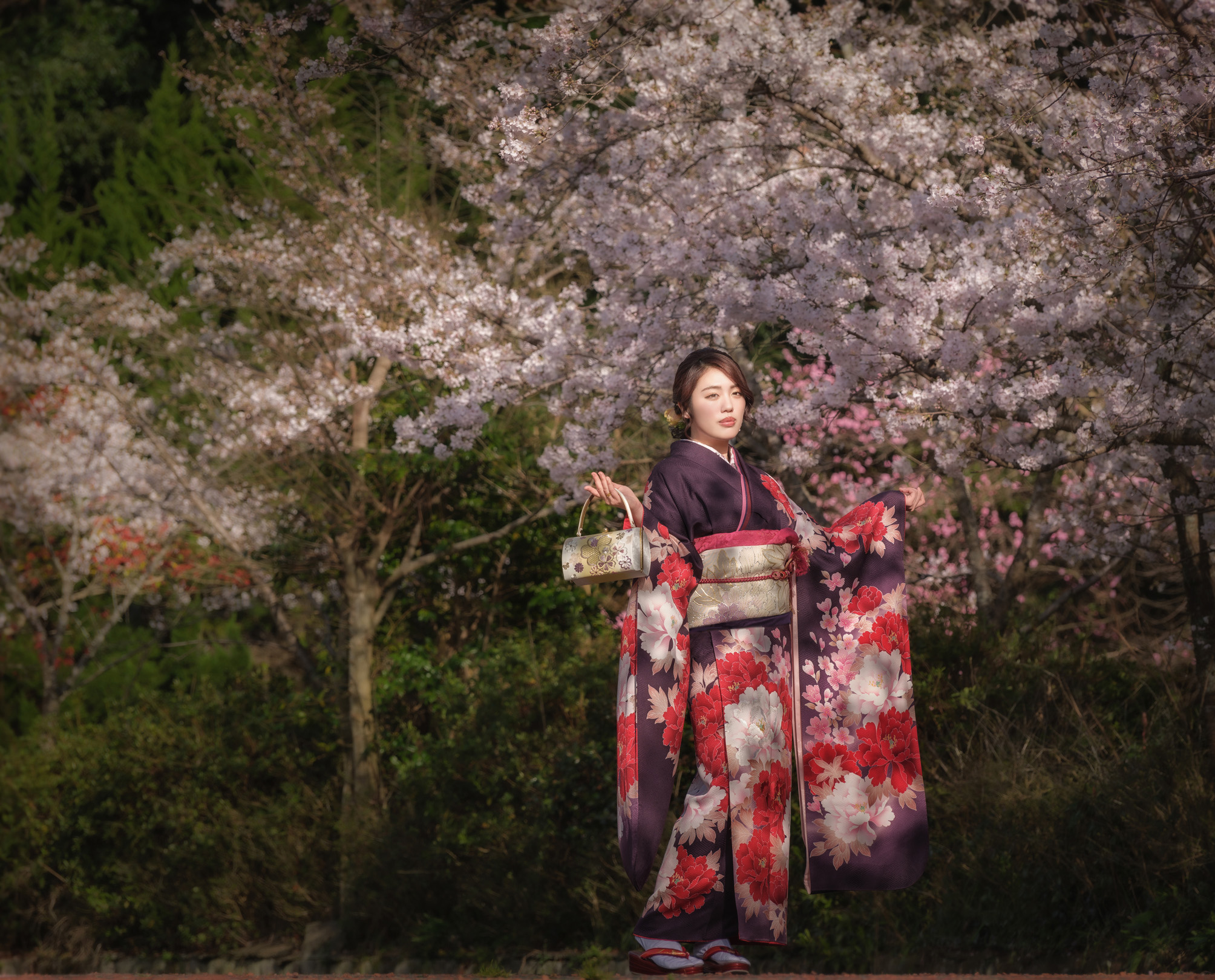 Asia WPA2025 受賞作品「feeling is beauty」桜の下での振袖撮影